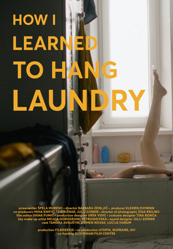 How I Learned To Hang Laundry poster