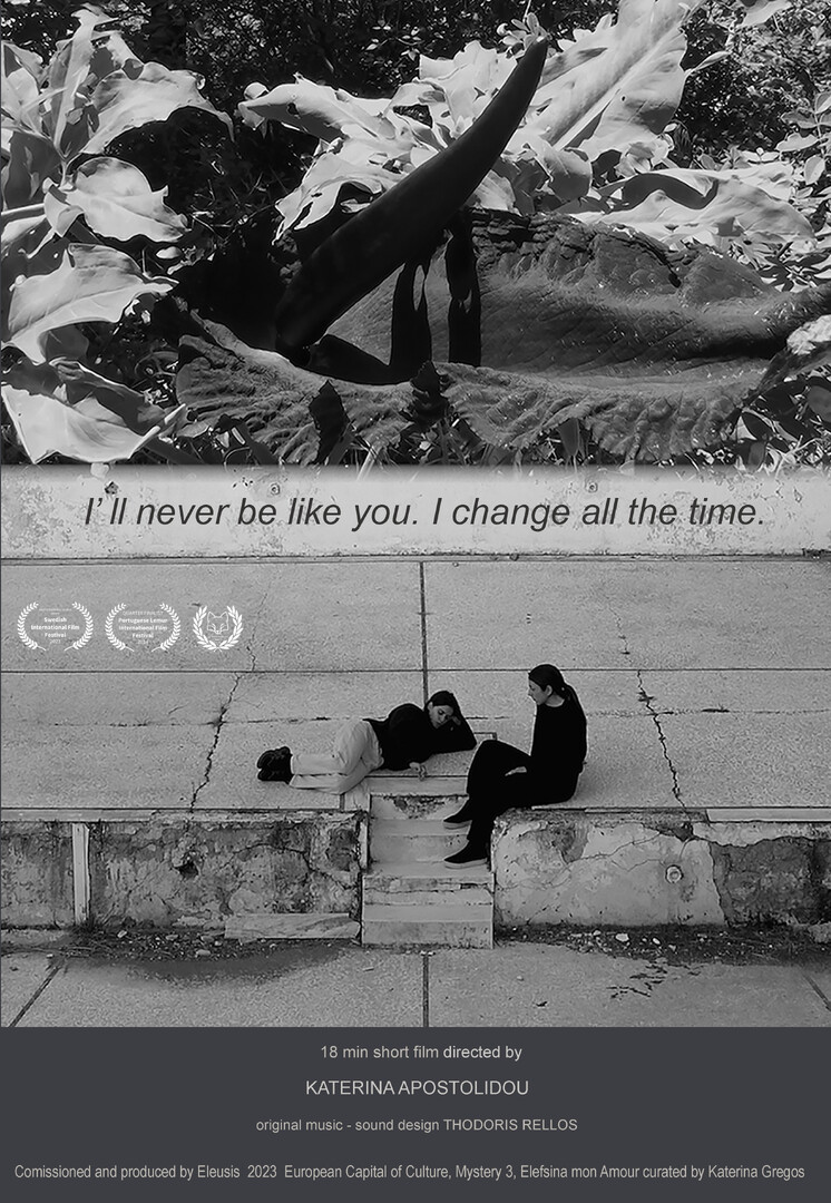 I' ll never be like you. I change all the time poster