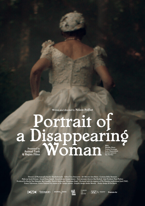 Portrait of a Disappearing Woman poster